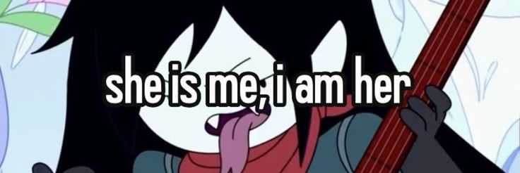 marcy banner
