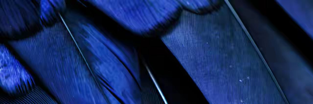 Lauwaitong's profile banner image