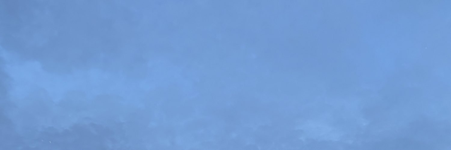 brownie.mini banner