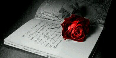 ro712231's profile banner image