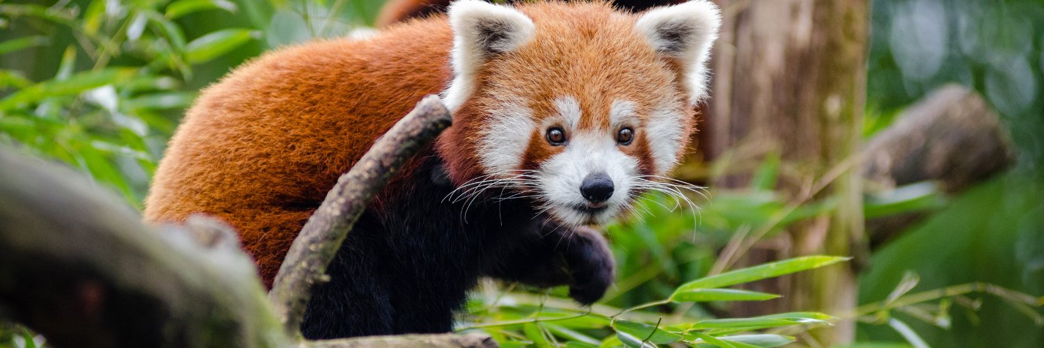 Population Connection Archived banner