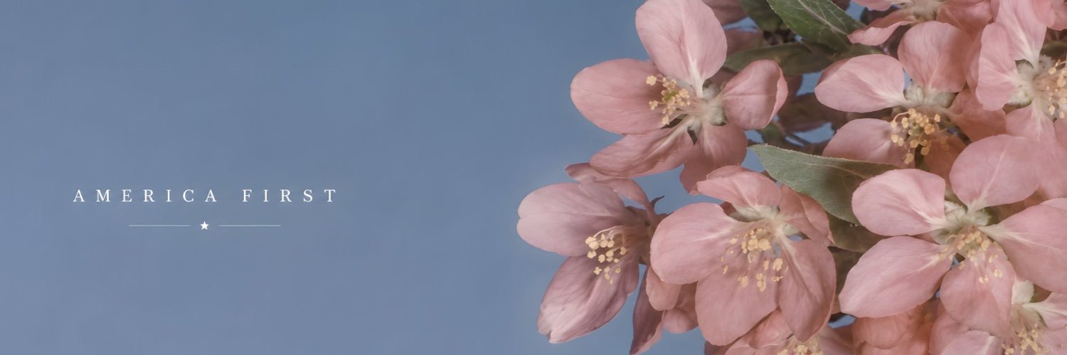 V banner