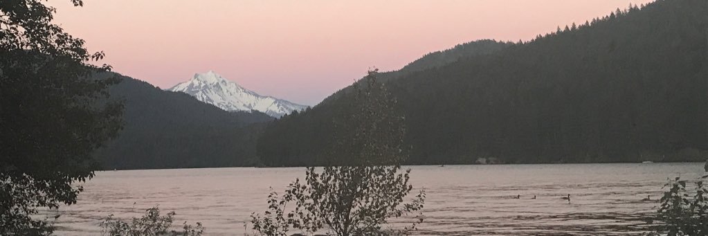 jillannharrison's profile banner image