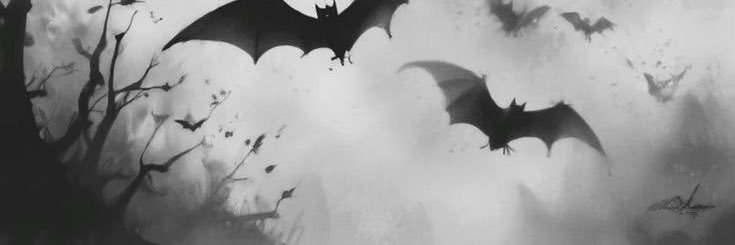 glorayg's profile banner image