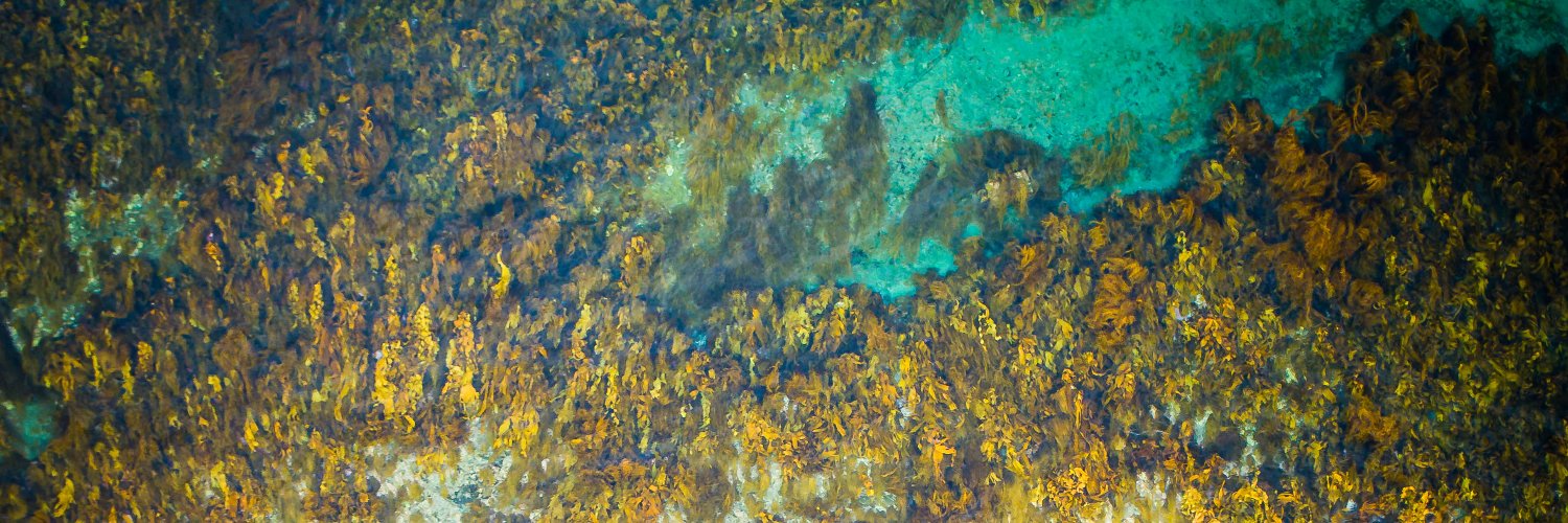 lands_unseen's profile banner image