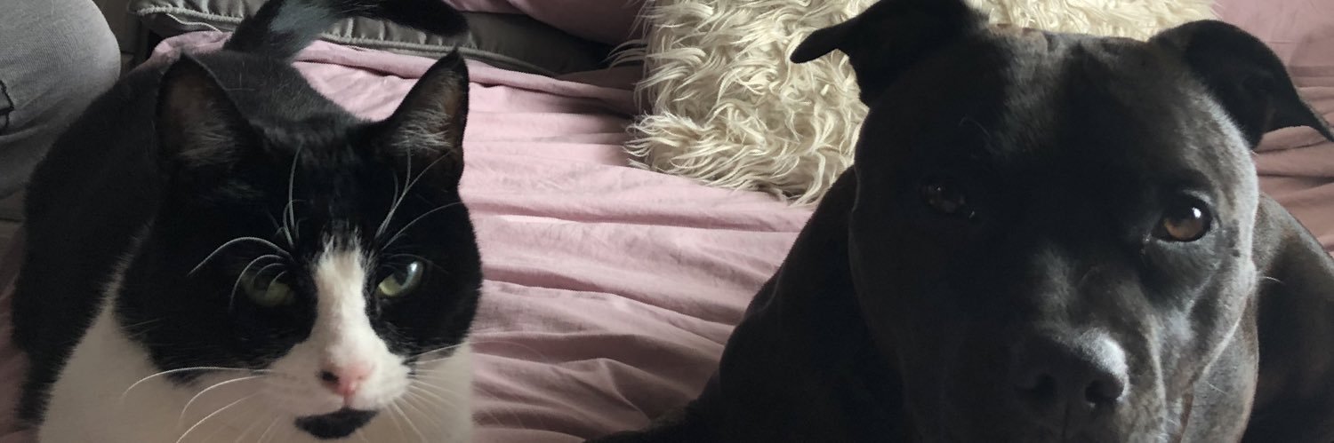 ooliviag's profile banner image