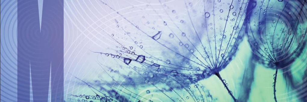 Prof Kim Cornish banner