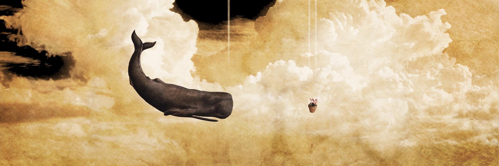 mcbelier's profile banner image
