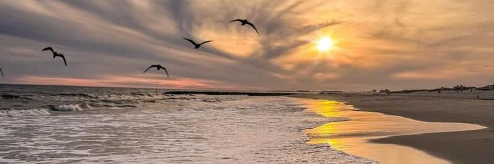 uzmathaslim's profile banner image