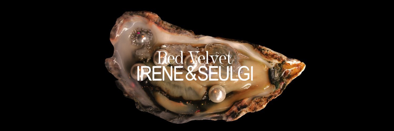 bjhseulgi's profile banner image