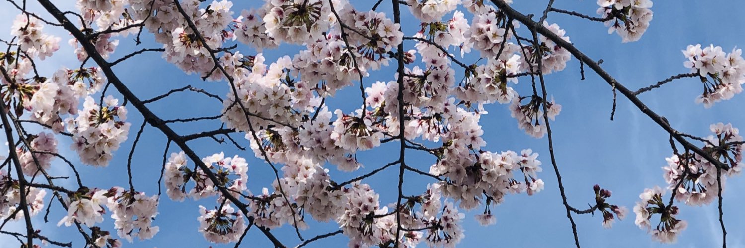 flowernote's profile banner image