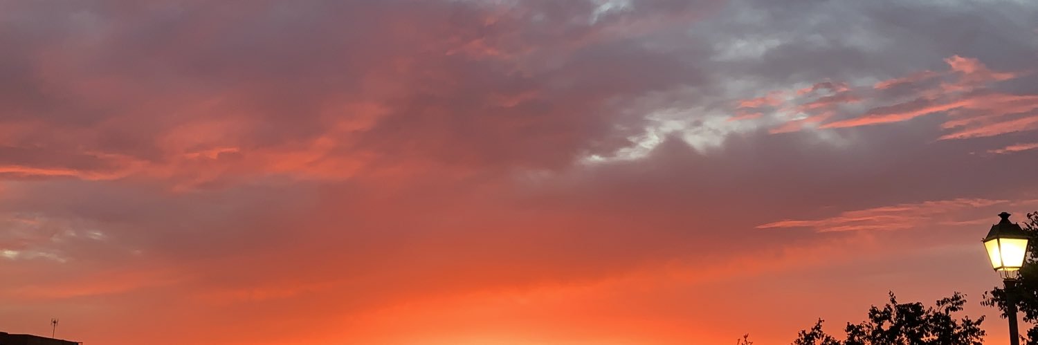Marta. banner