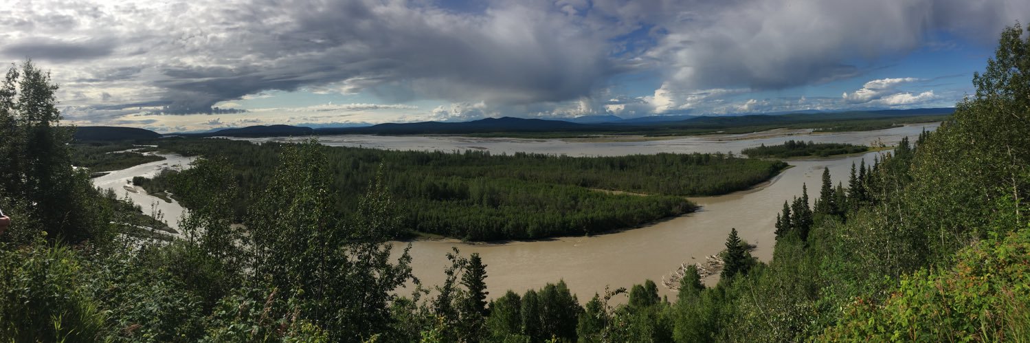 Julianne Davis banner