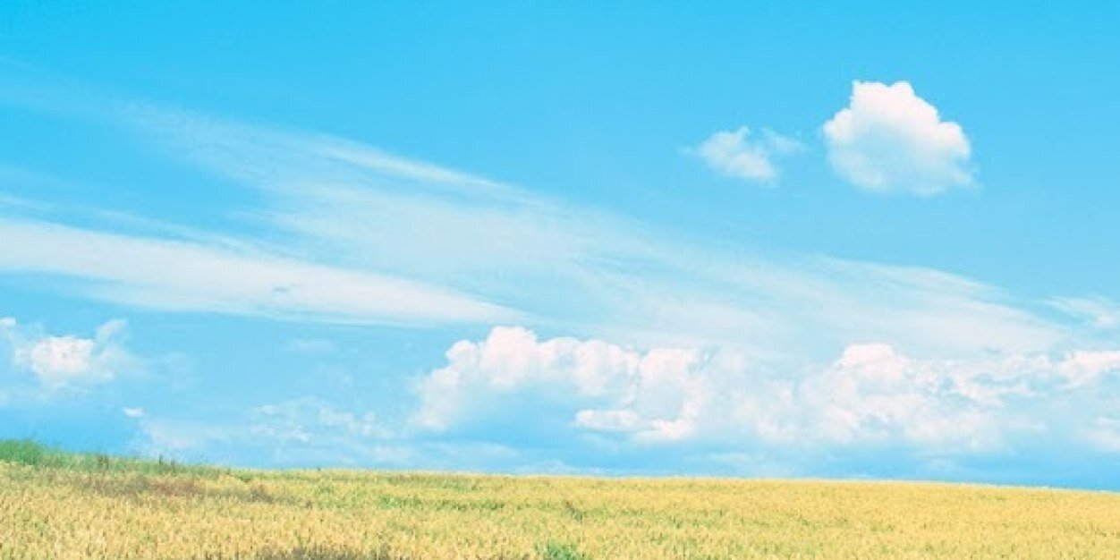 climaww's profile banner image