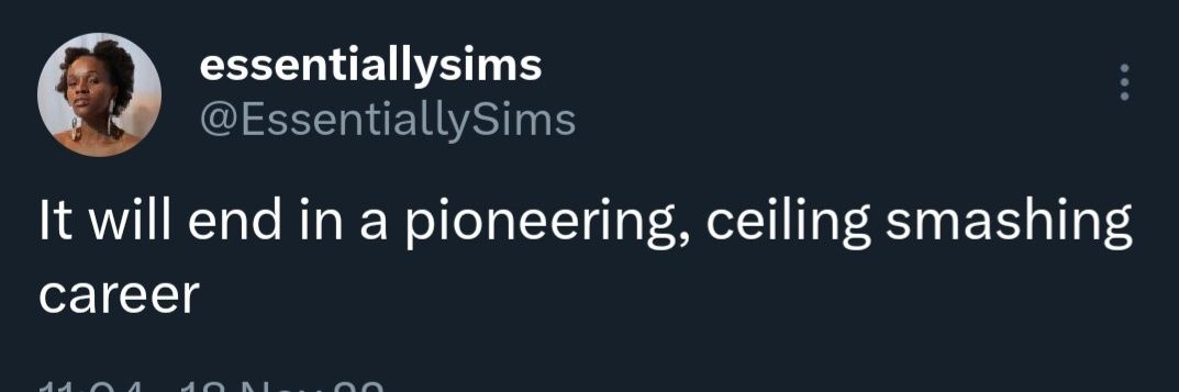 EssentiallySims's profile banner image