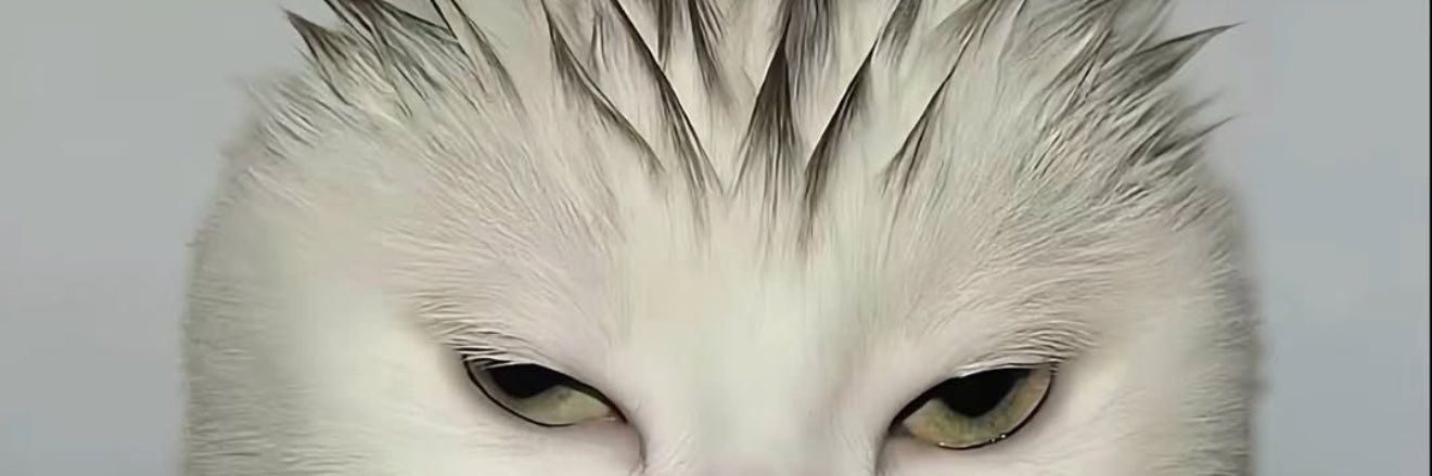 _tinarz's profile banner image