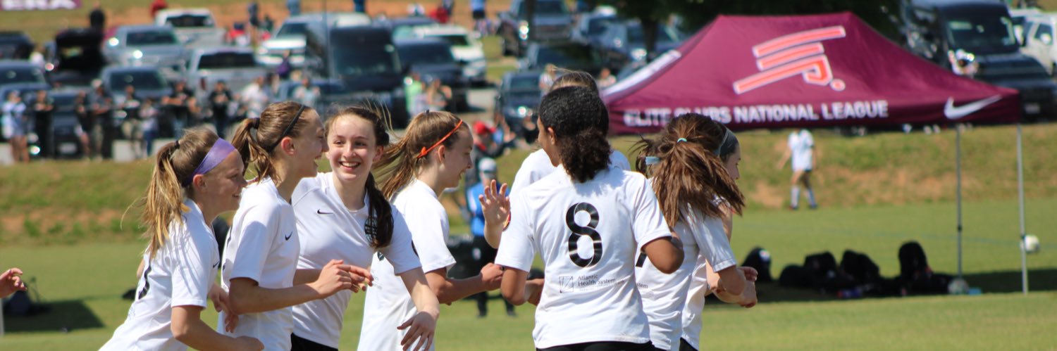 Meredith Eisenmann banner