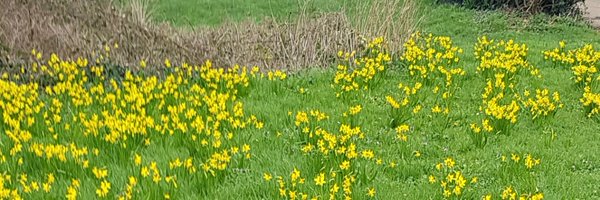 Stone1Kerry Profile Banner