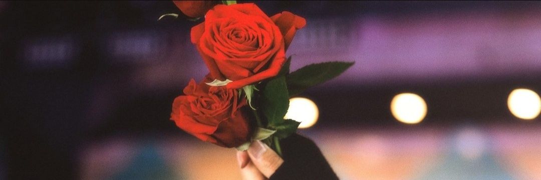 Isabel12720's profile banner image