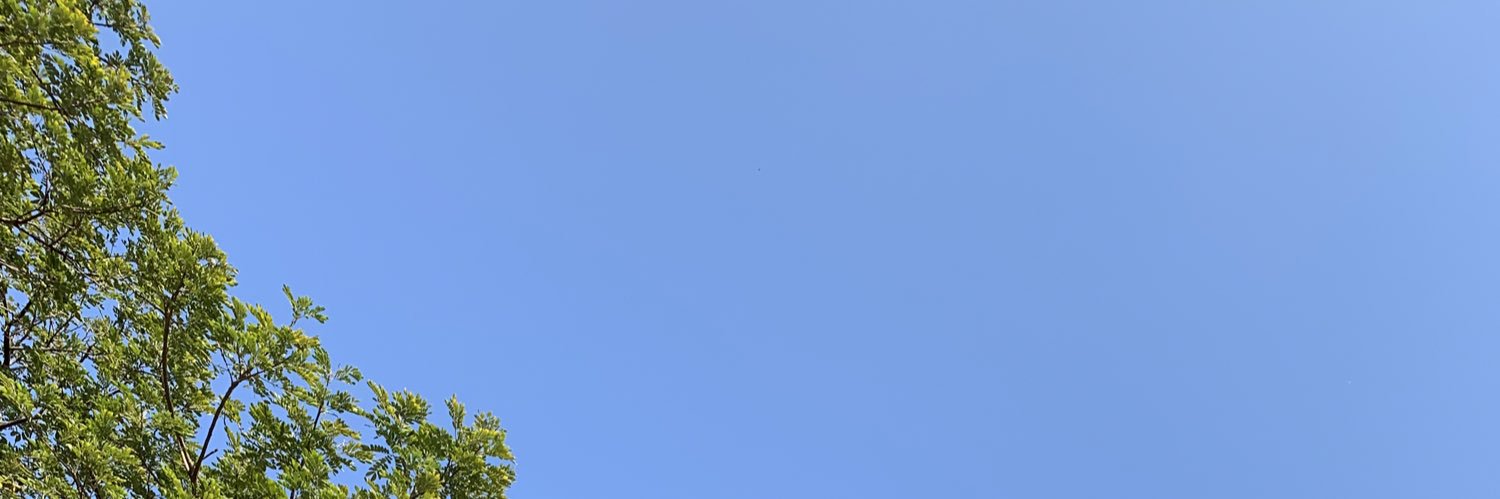 _alwayscatie's profile banner image