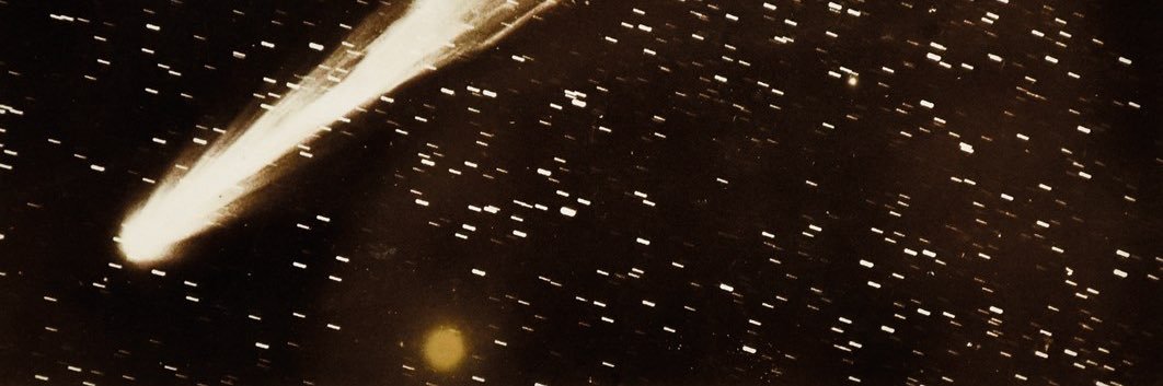 Lena 🐈‍⬛ banner