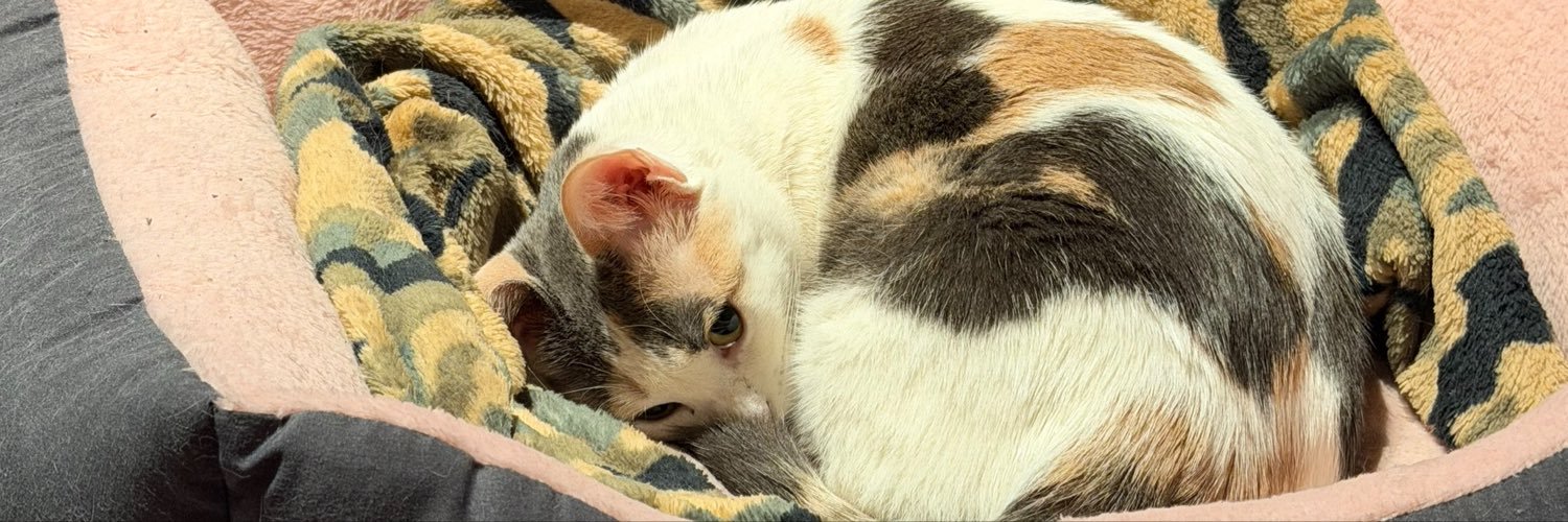 vaneycaroline's profile banner image