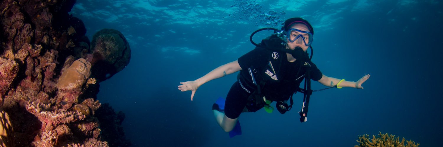 Evelyn Nguyen banner