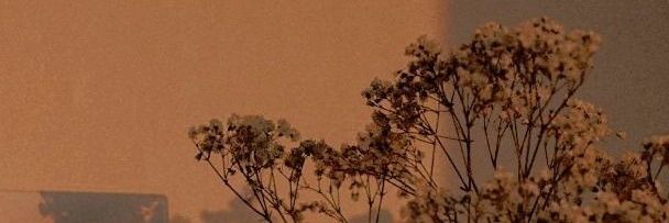 cxangzl's profile banner image