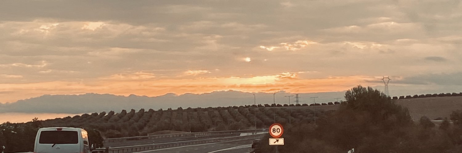 leles🚨 ☀︎ banner