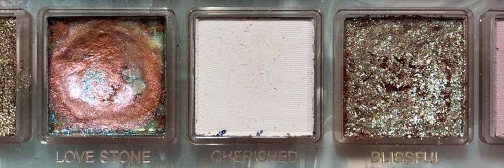 Danielle Wright banner