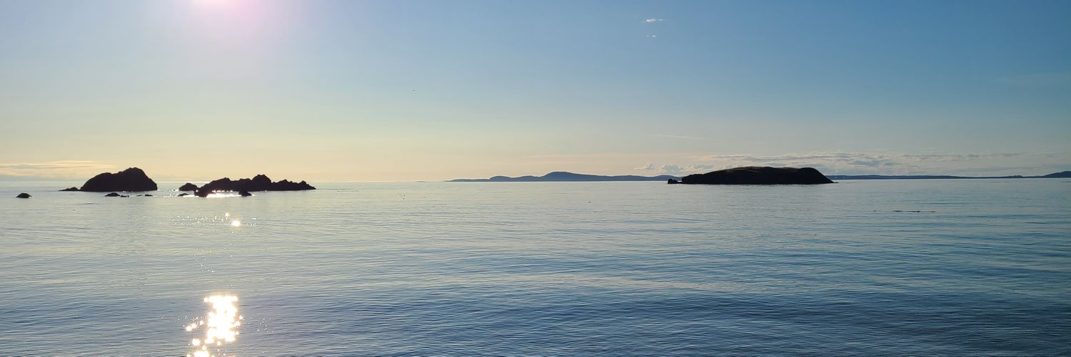 pinayplannerd's profile banner image