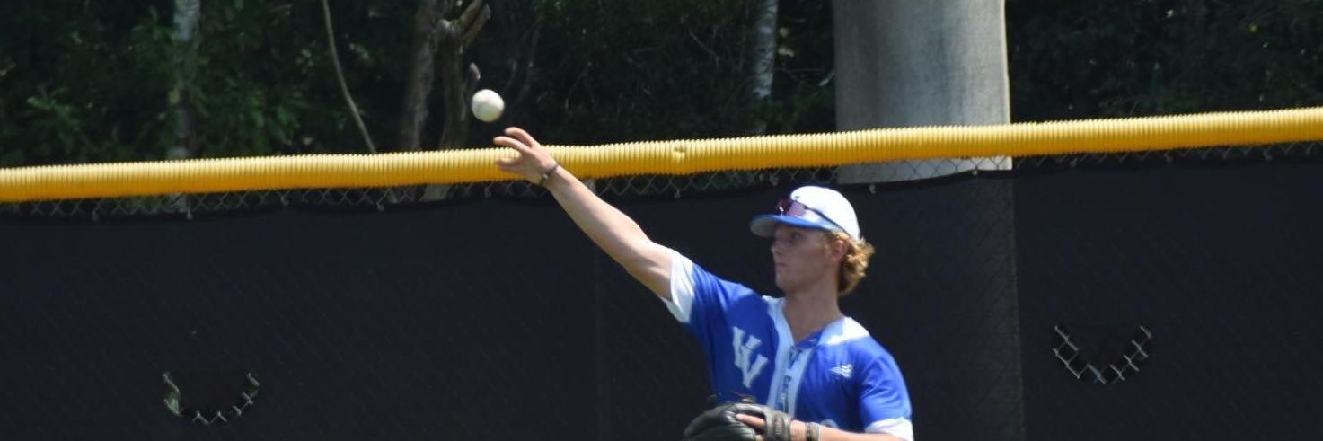 Will Wyles banner
