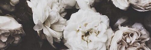 GGil93's profile banner image
