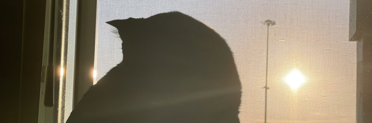 LexiKoch's profile banner image