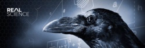 LegoRacersChamp's profile banner image