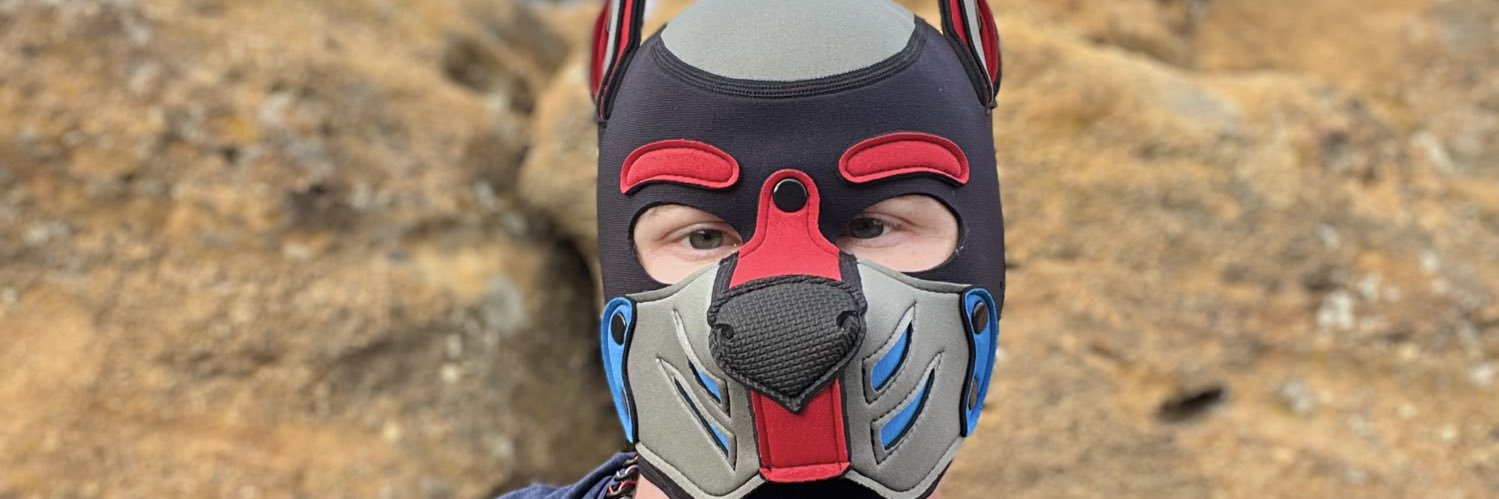 pup chase banner