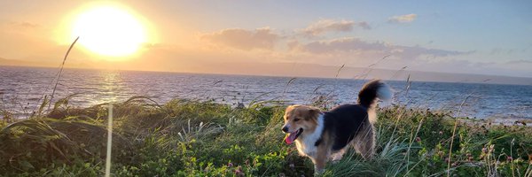 Danny369Boi Profile Banner