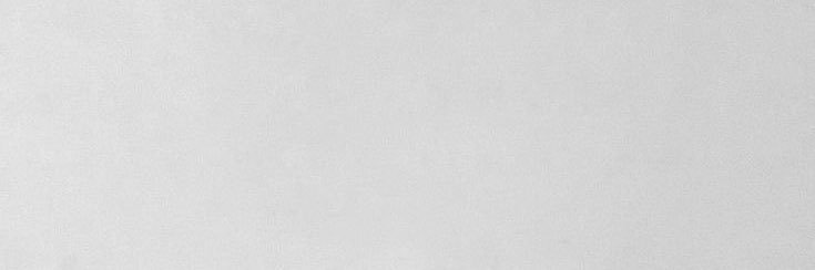 vynn banner