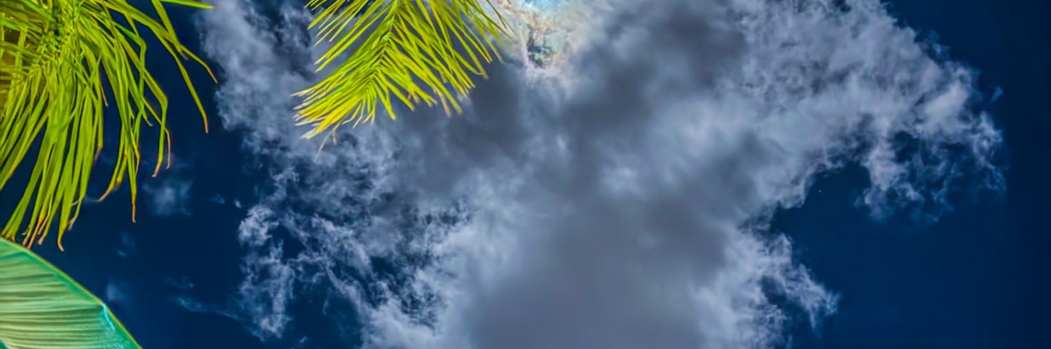 NicholsonCol's profile banner image