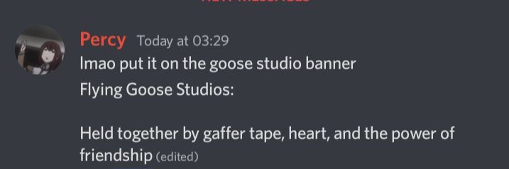 Flying Goose Studios 🦆 banner