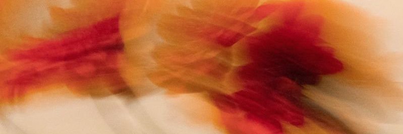 Sofiramirezf_'s profile banner image