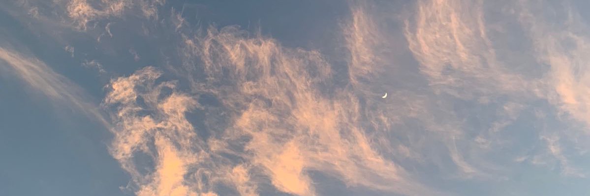salsaaraisya's profile banner image