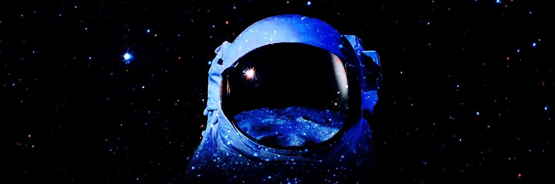 neonoasisfest's profile banner image