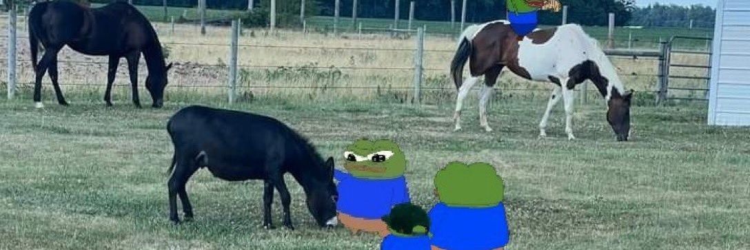 xbtcadet's profile banner image