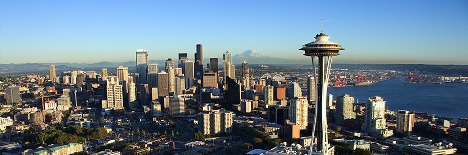 ✨DiscoWizard💫She/Her✝️ #BeKind KnitWit 🇺🇦☮️ banner