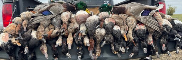 lakebennett5 Profile Banner