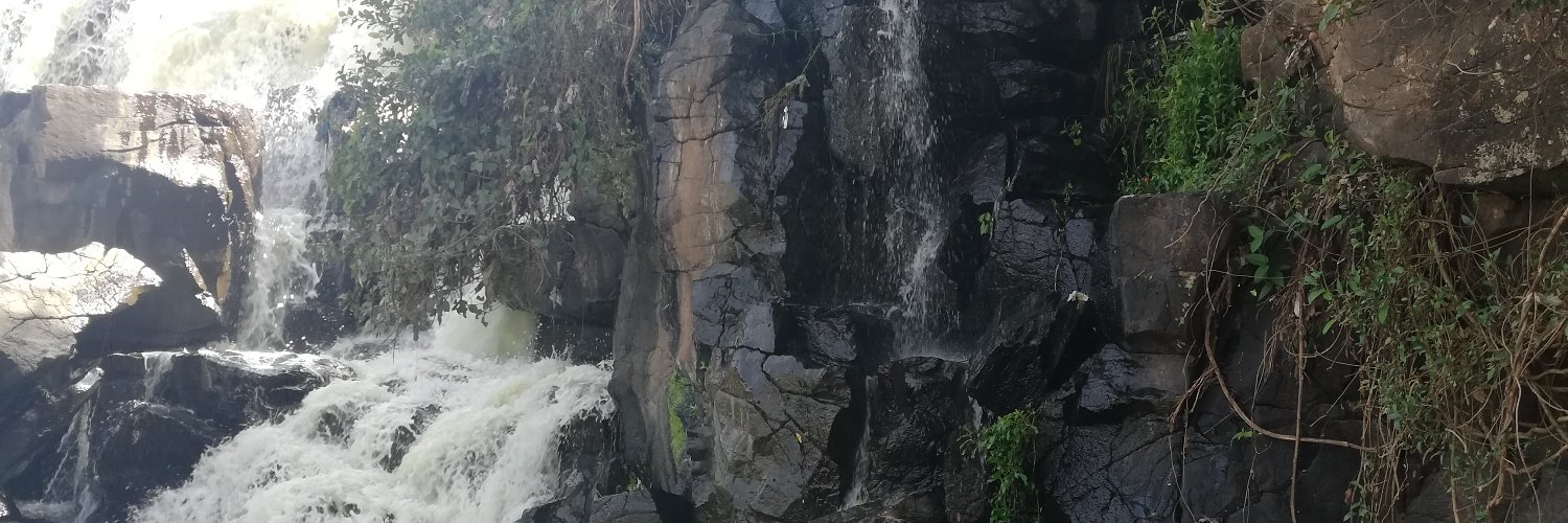 Korvo banner