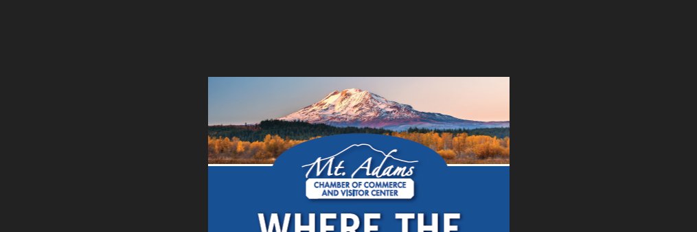 AdamsChamber's profile banner image