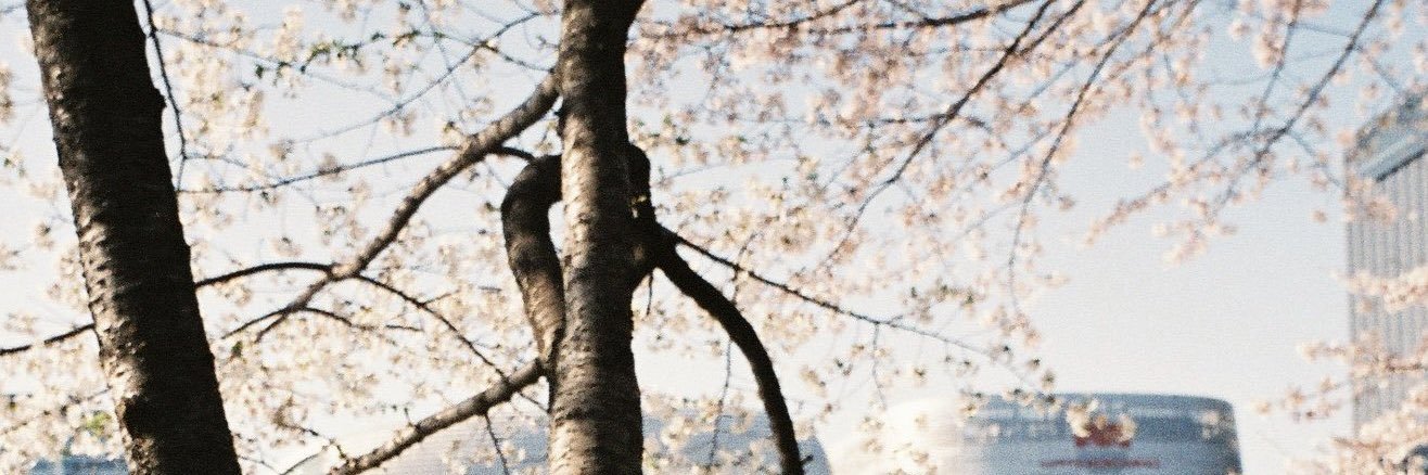 makeanova's profile banner image