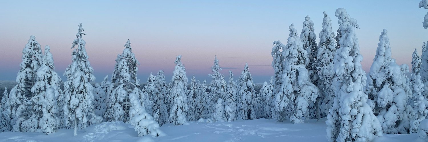 Ulla Kemi banner